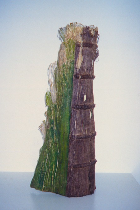 Craig4Scan-120521-0021