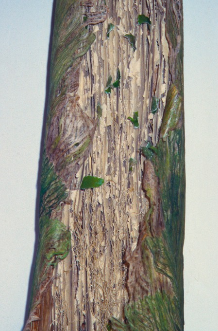 Craig4Scan-120521-0022