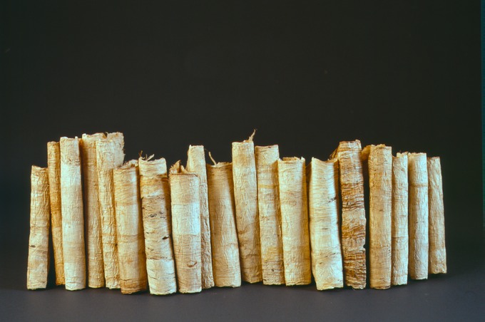 Craig4Scan-120521-0026