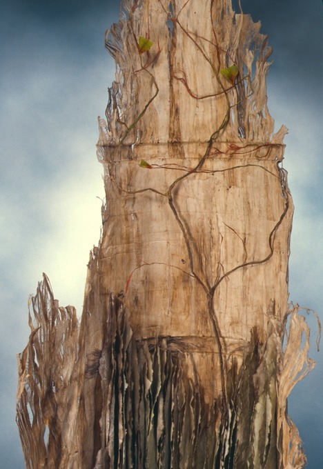 Craig4Scan-120521-0031