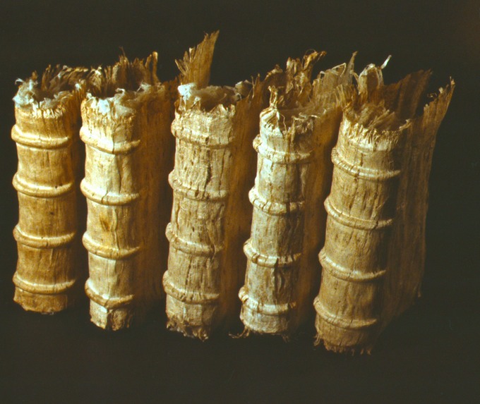 Craig4Scan-120521-0034