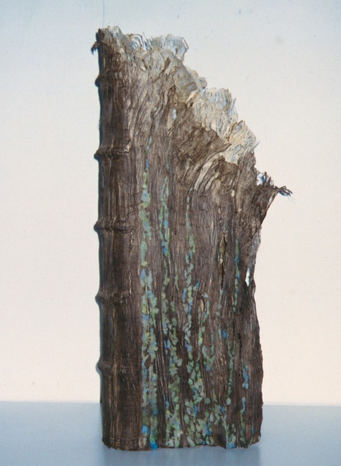 Craig4Scan-120521-0035