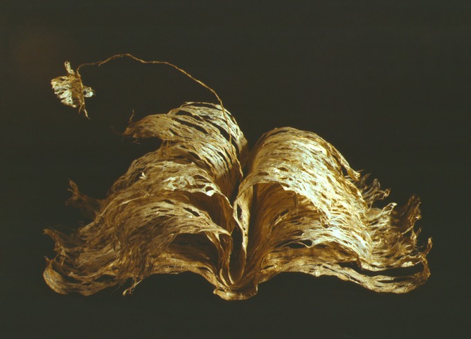 Craig4Scan-120521-0039