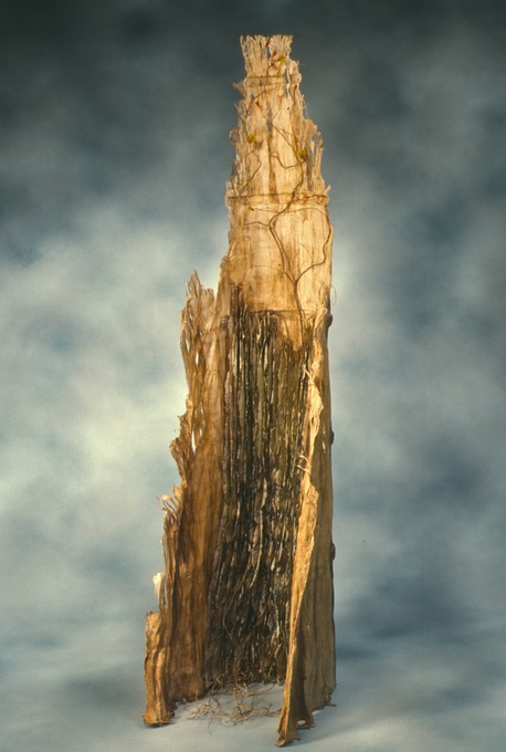 Craig4Scan-120522-0004