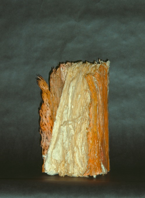 Craig4Scan-120522-0009