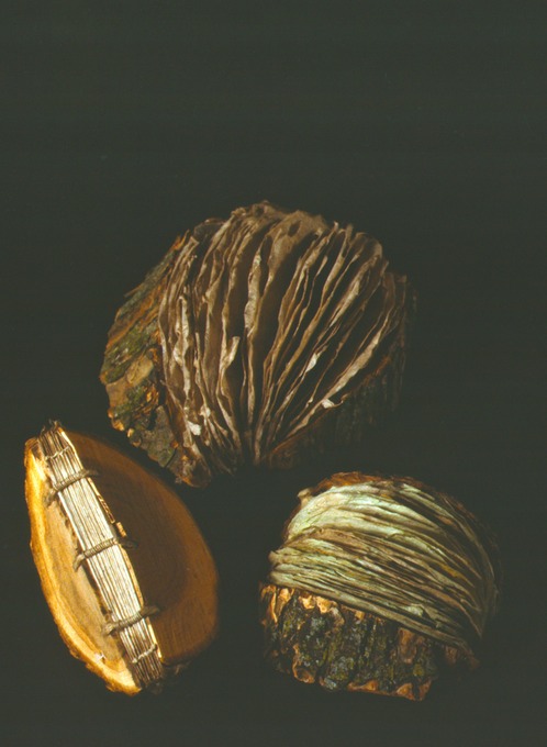 Craig4Scan-120522-0010