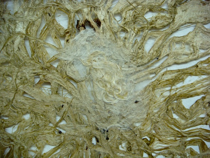 DSC04024