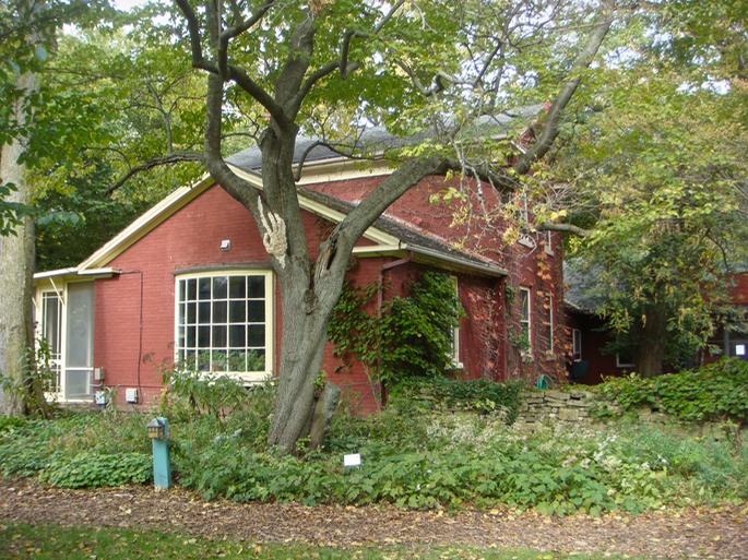 DSC05430