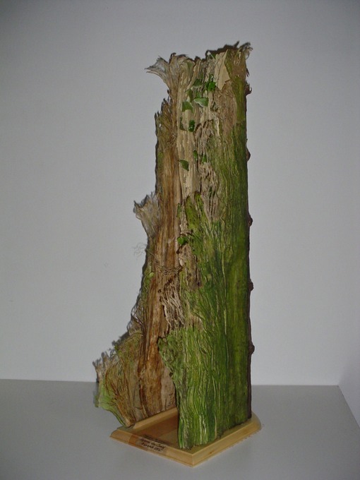 PP Shaw's August 023