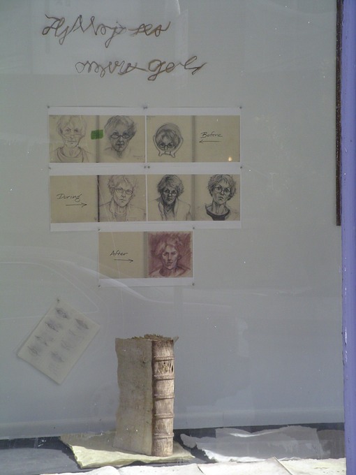 Window Show 009