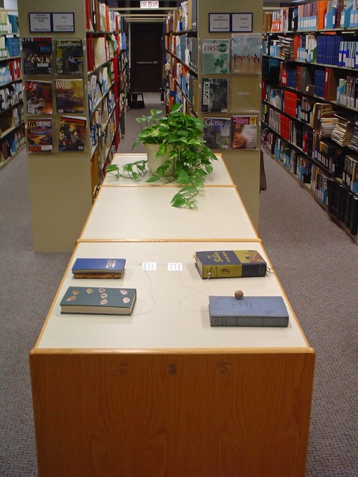 AlternateSelections 030