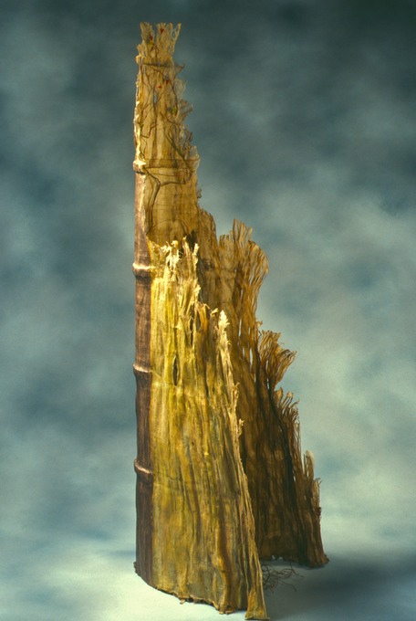 Craig4Scan-120521-0030