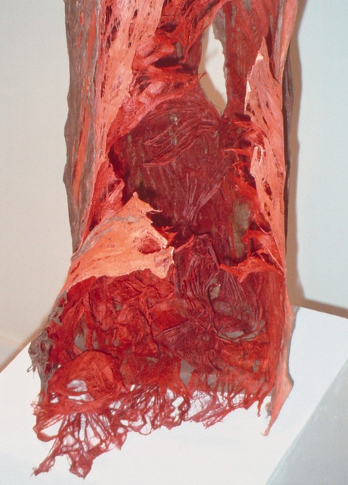 Craig4Scan-120521-0040