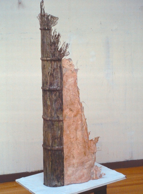 Craig4Scan-120522-0031