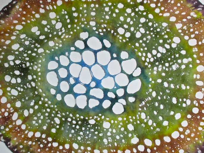 IMG_1609 - Version 2